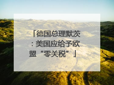 德国总理默茨：美国应给予欧盟“零关税”